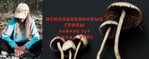 альфа пвп Богородицк