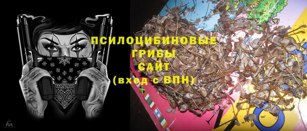 экстази Богданович