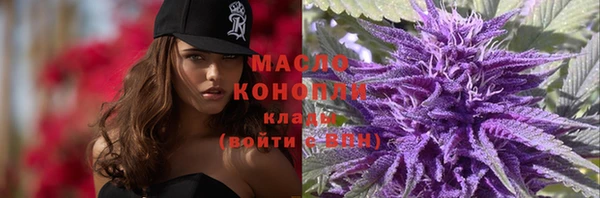 твердый Богородск