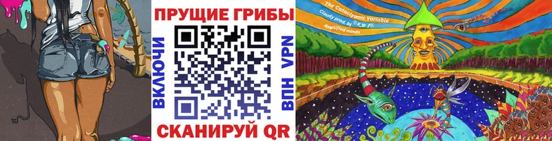 МЕГА как войти  Комсомольск  Псилоцибиновые грибы Psilocybe 